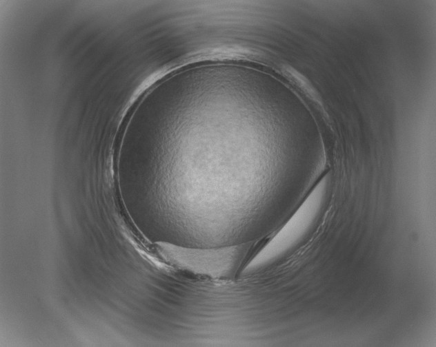 X0000080721226200701021046