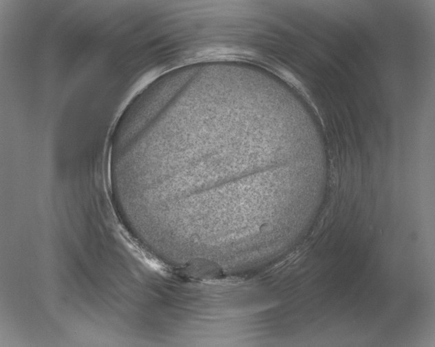 X0000080721227200701021046