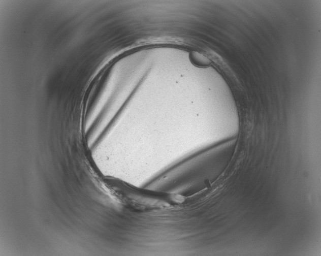 X0000080721228200701021046