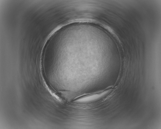 X0000080721229200701021046