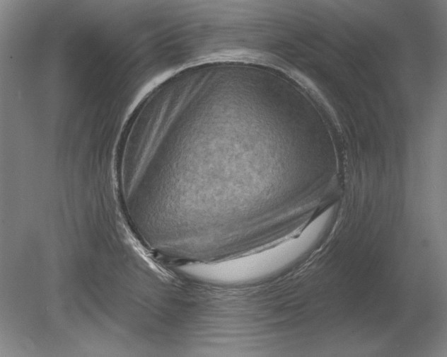 X0000080721230200701021046