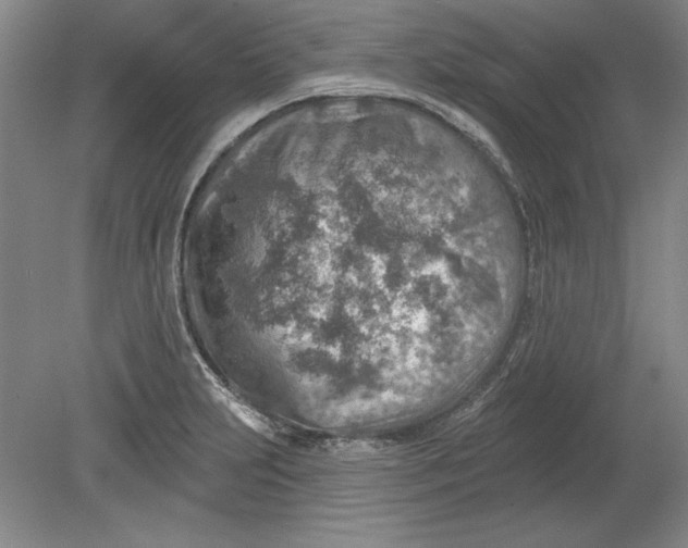 X0000080721231200701021046