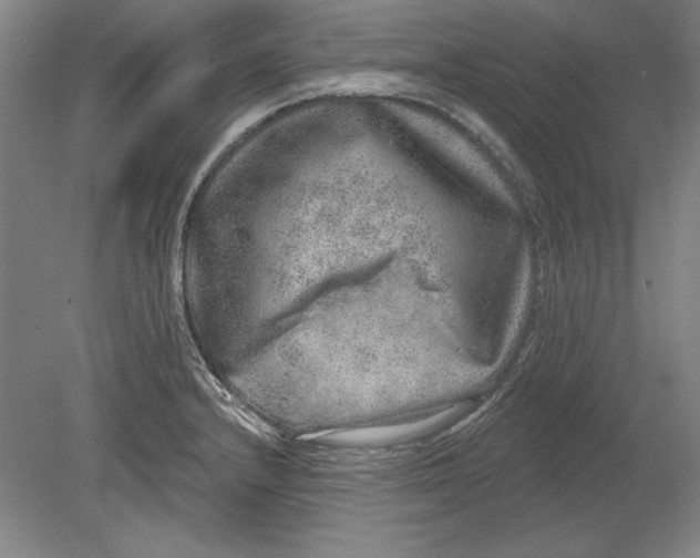 X0000080721232200701021046