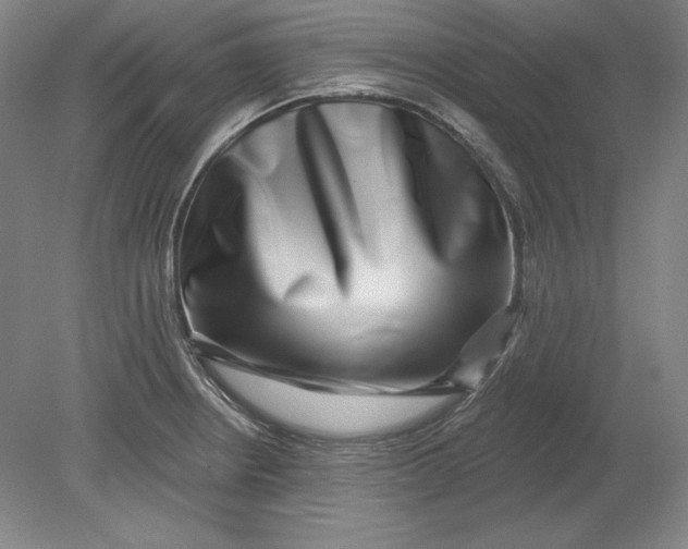 X0000080721234200701021046