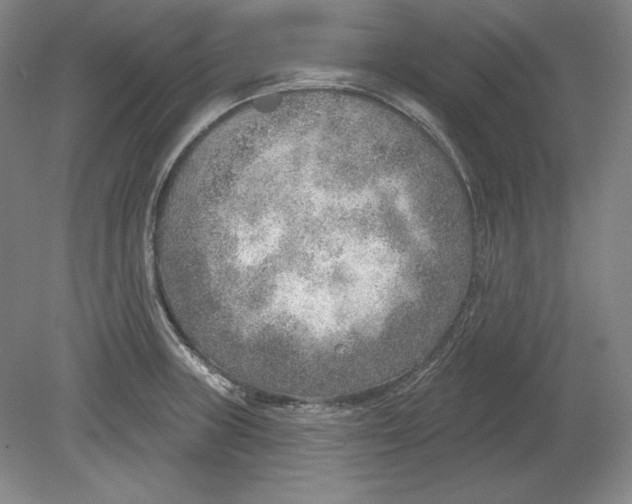 X0000080721235200701021046