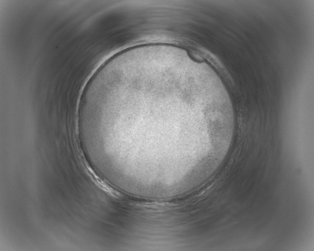 X0000080721236200701021046