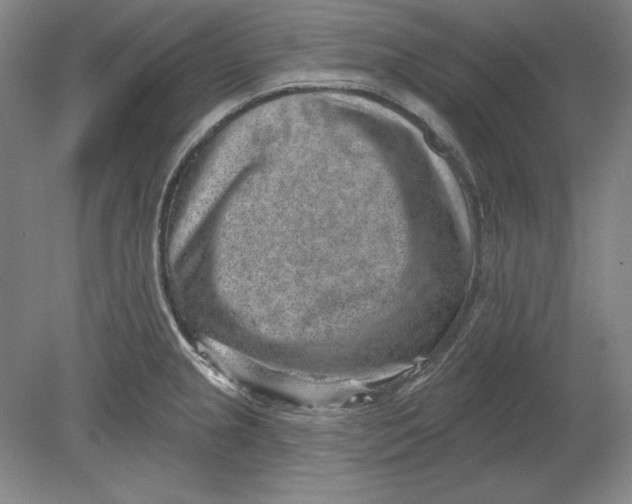 X0000080721237200701021046