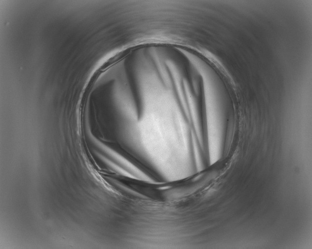 X0000080721238200701021046