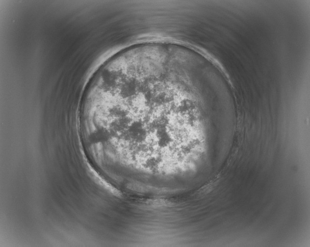 X0000080721239200701021046