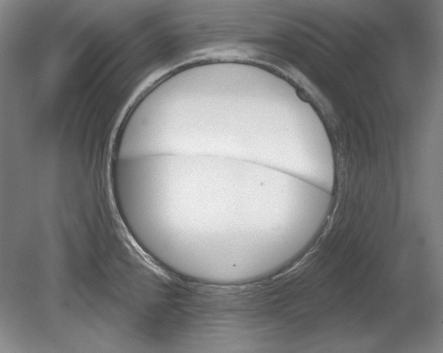 X0000080721240200701021046