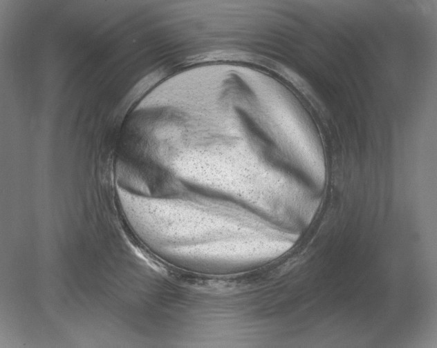 X0000080721241200701021046