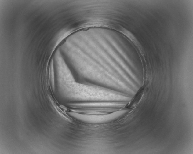 X0000080721242200701021046