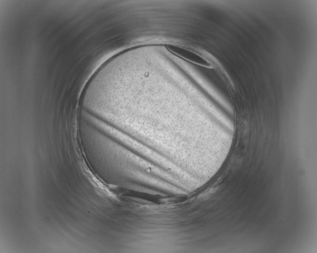 X0000080721244200701021046