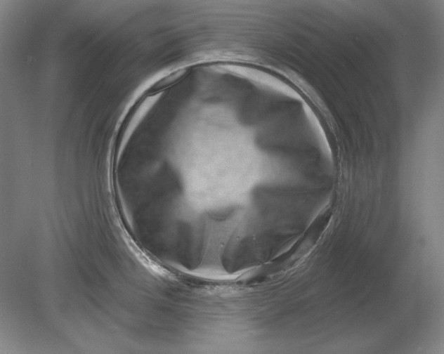 X0000080721246200701021046