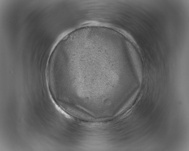 X0000080721247200701021046