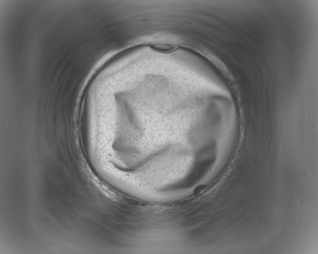 X0000080721248200701021046