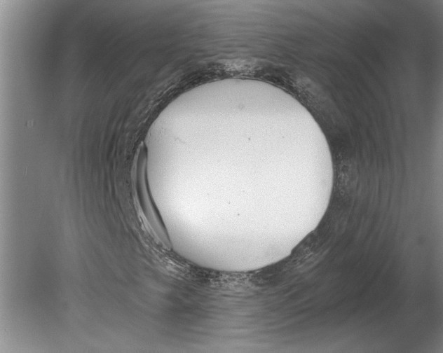 X0000080721249200701021045