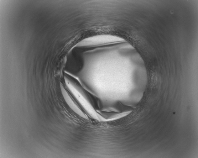 X0000080721250200701021045