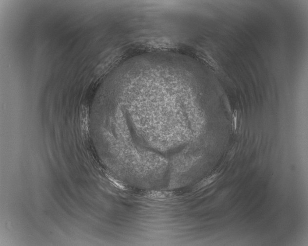 X0000080721251200701021045