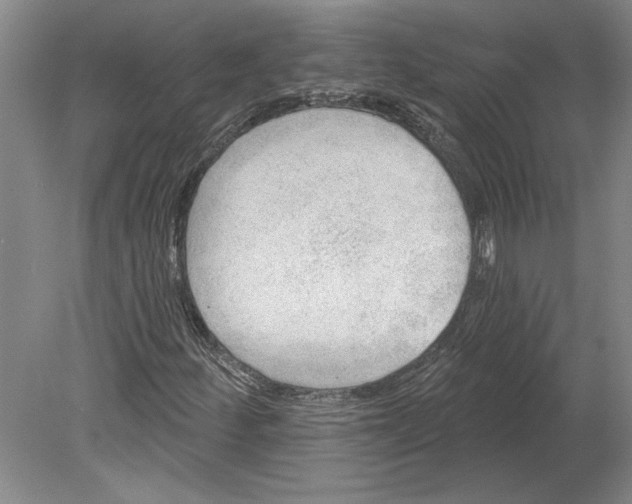 X0000080721252200701021045