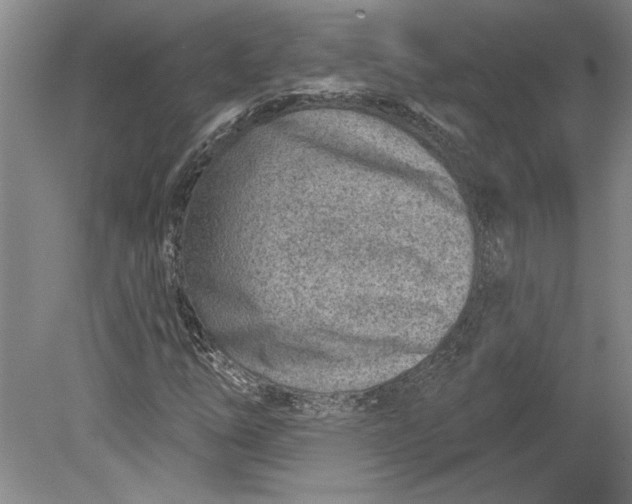 X0000080721254200701021045