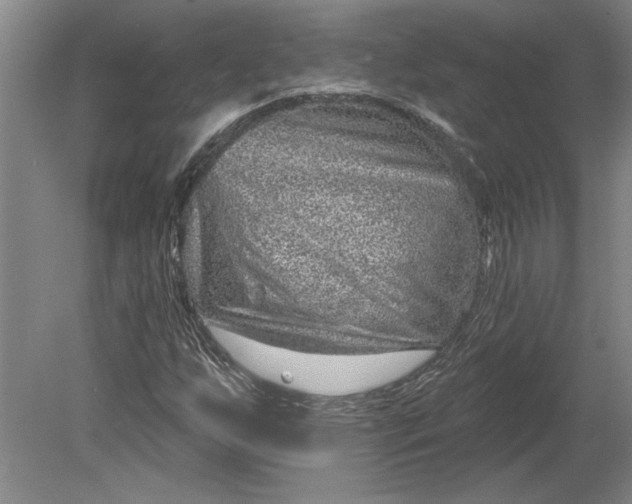 X0000080721255200701021045