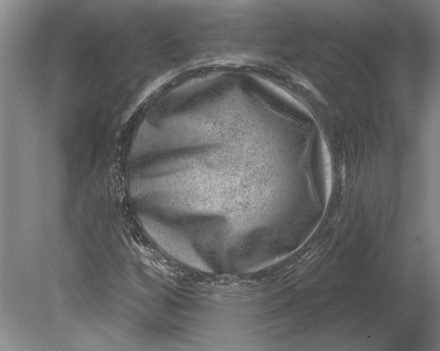 X0000080721256200701021045