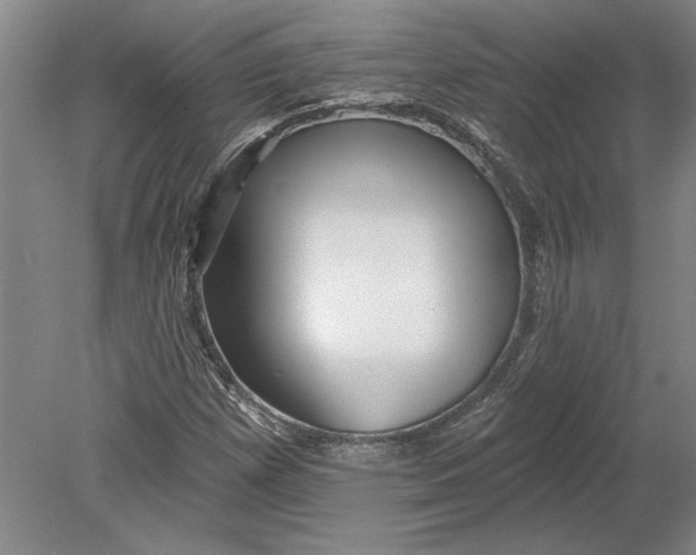 X0000080721257200701021045