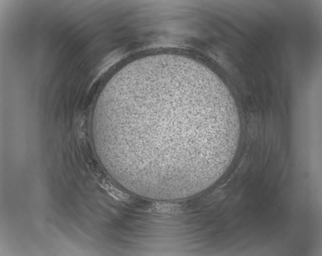 X0000080721258200701021045