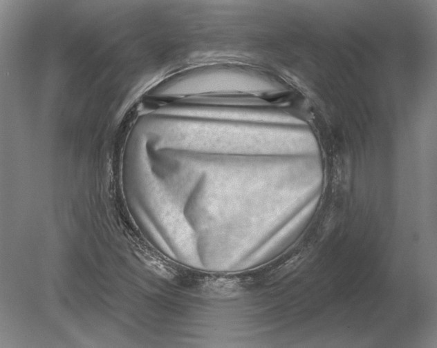 X0000080721261200701021045