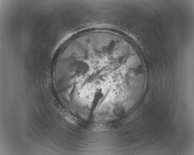 X0000080721263200701021045