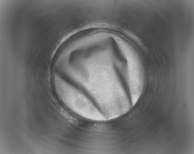 X0000080721264200701021045