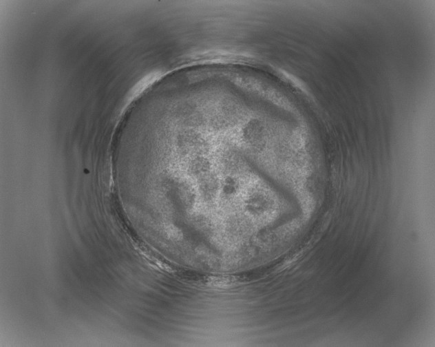 X0000080721267200701021045