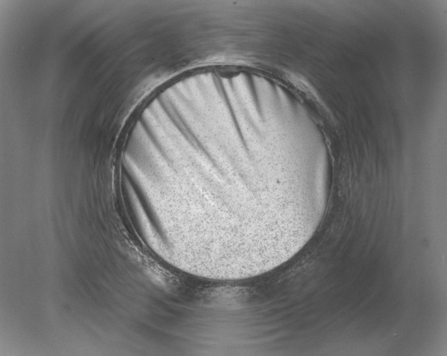 X0000080721268200701021045