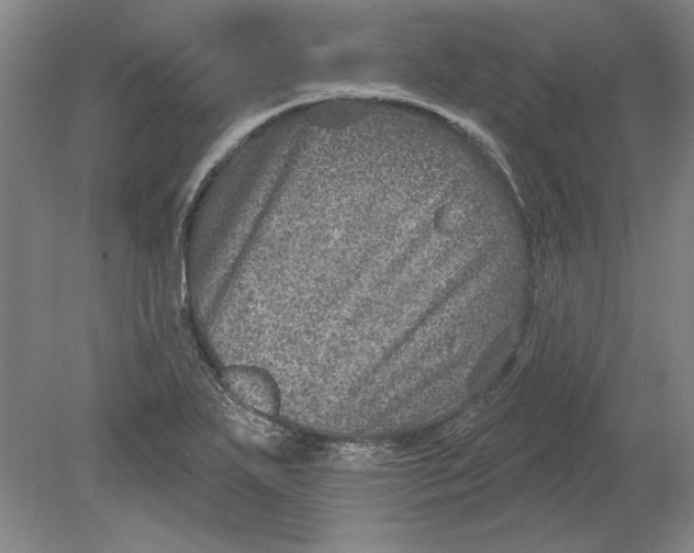 X0000080721271200701021045