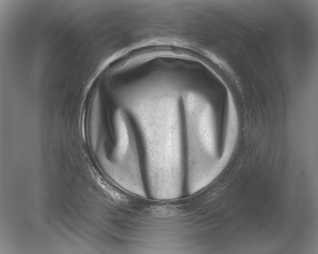 X0000080721272200701021045