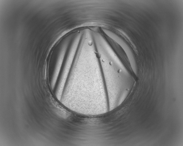 X0000080721276200701021045