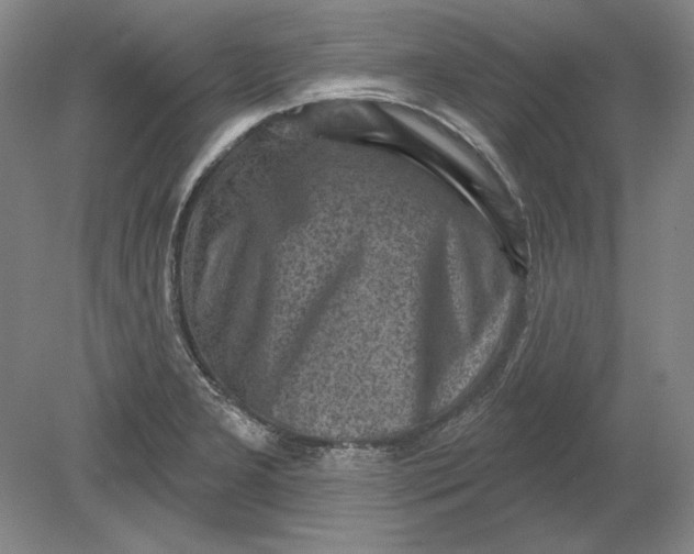 X0000080721277200701021045