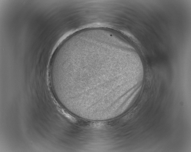 X0000080721278200701021045