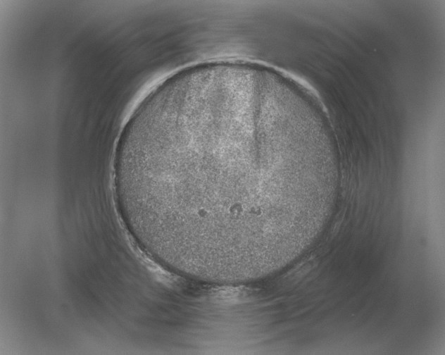 X0000080721279200701021045