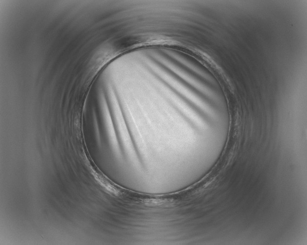 X0000080721281200701021045