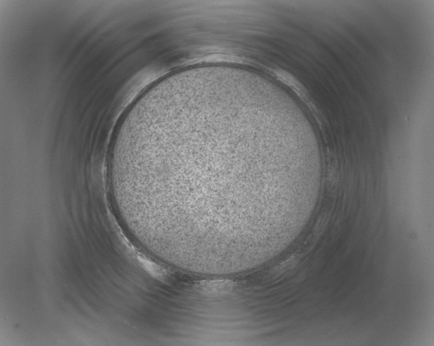 X0000080721282200701021045