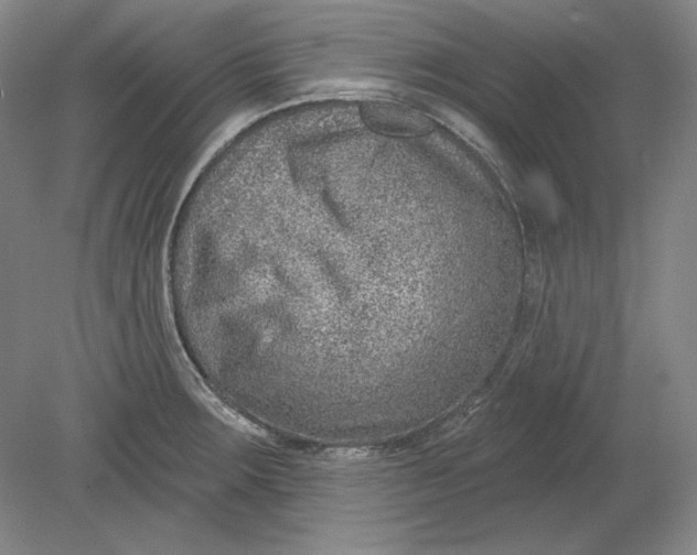 X0000080721283200701021045