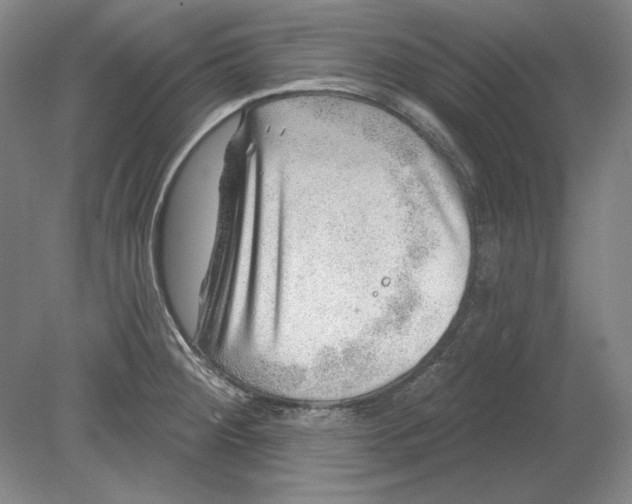 X0000080721284200701021045