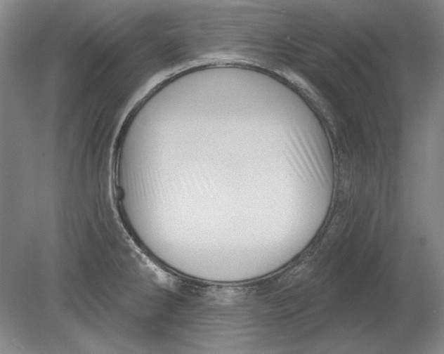 X0000080721286200701021044