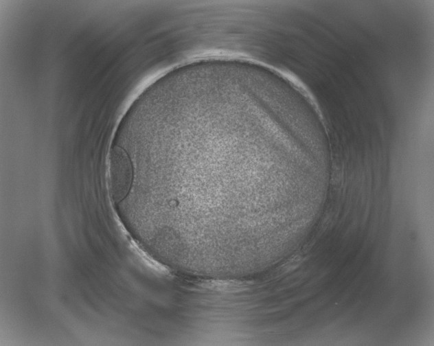 X0000080721287200701021044