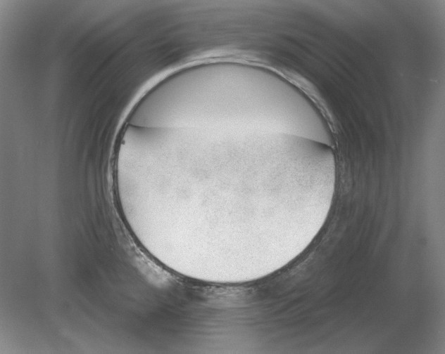 X0000080721288200701021044