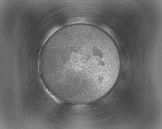 X0000080721290200701021044