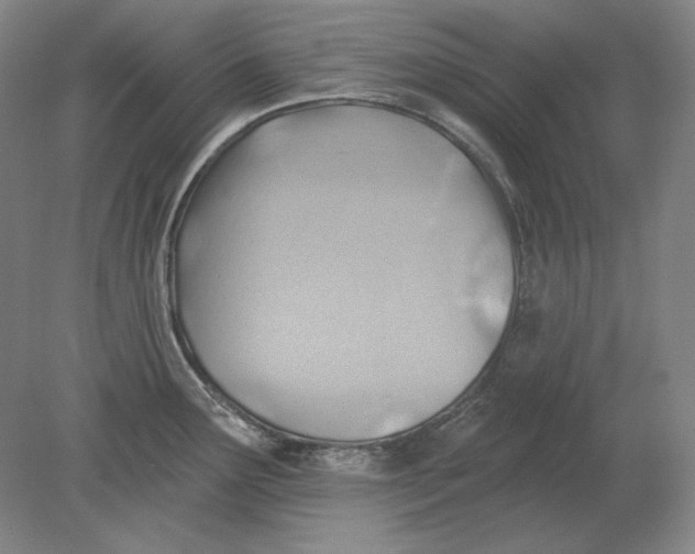 X0000080721291200701021044