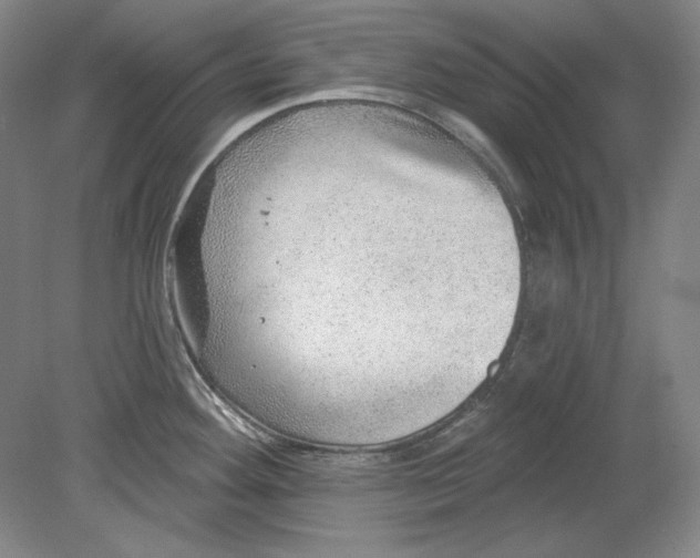 X0000080721292200701021044